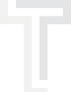 truepath access solutions logo